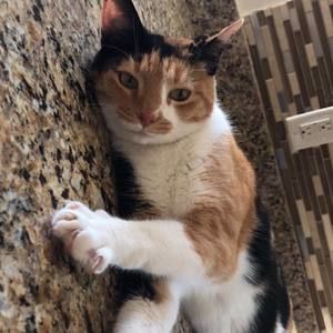 Meet your Posher, Michele